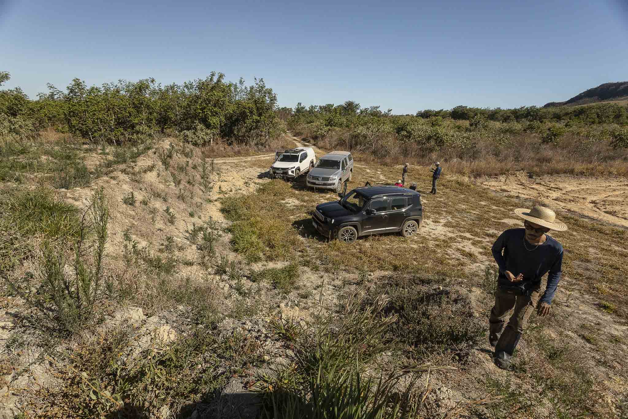 Imagem Restauração Ecológica PA4--4 da expedição de expedicoes/restauracao_25